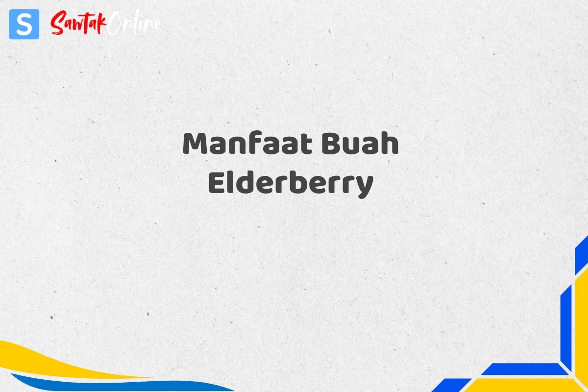 Manfaat Buah Elderberry