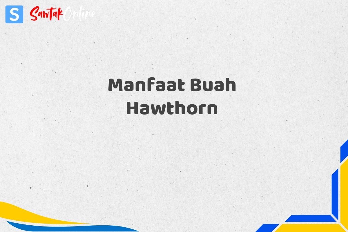 Manfaat Buah Hawthorn