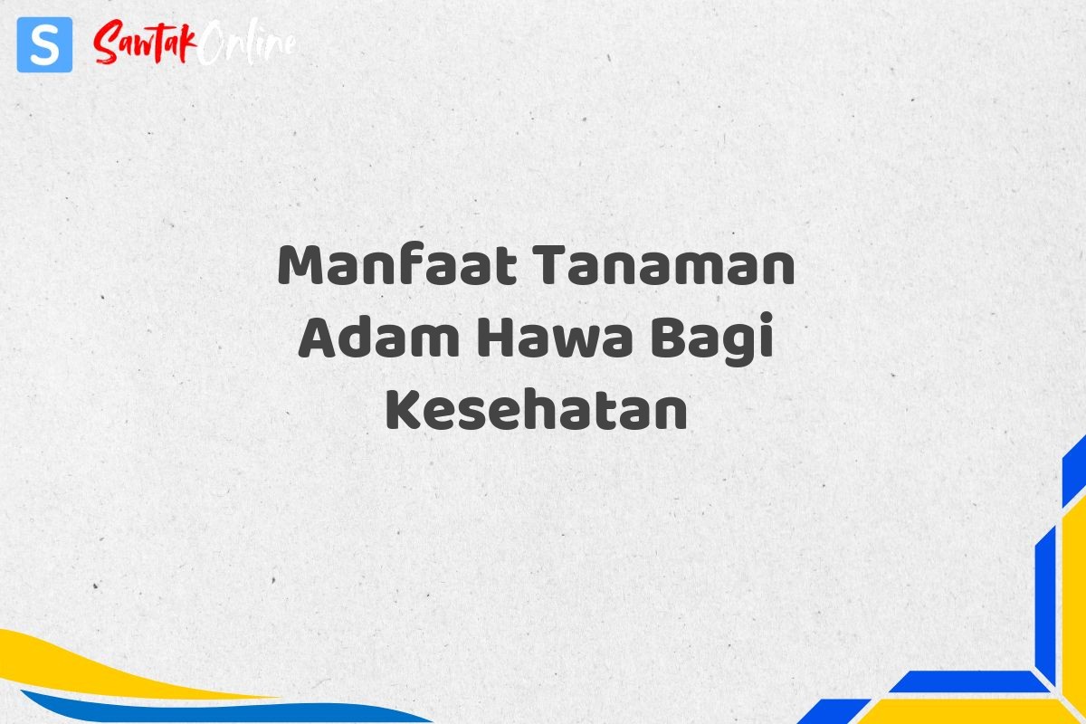 Manfaat Tanaman Adam Hawa Bagi Kesehatan