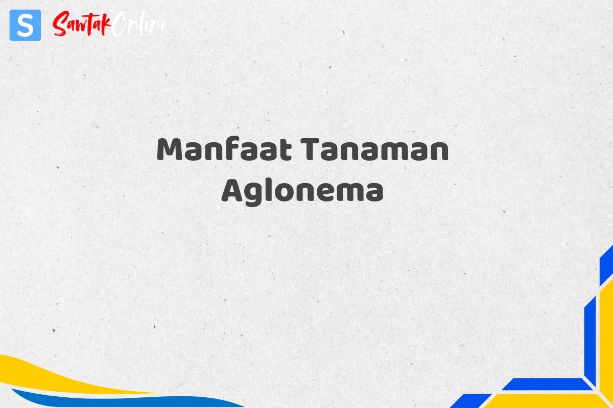 Manfaat Tanaman Aglonema