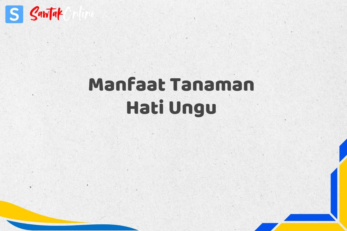 Manfaat Tanaman Hati Ungu