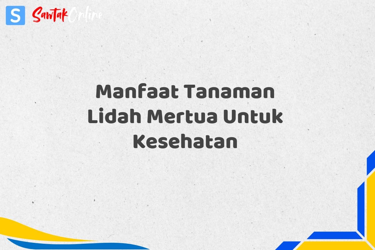 Manfaat Tanaman Lidah Mertua Untuk Kesehatan