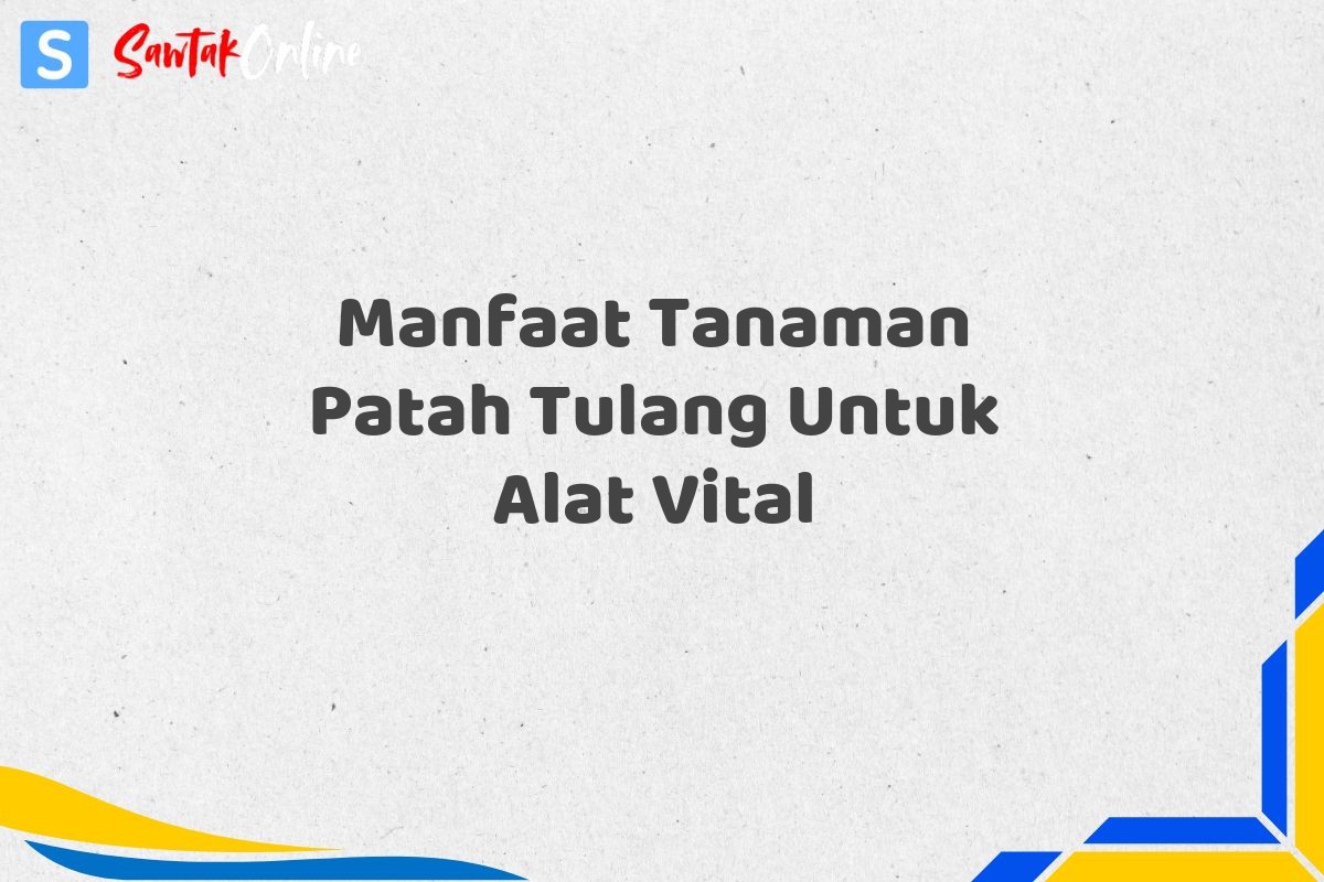 Manfaat Tanaman Patah Tulang Untuk Alat Vital