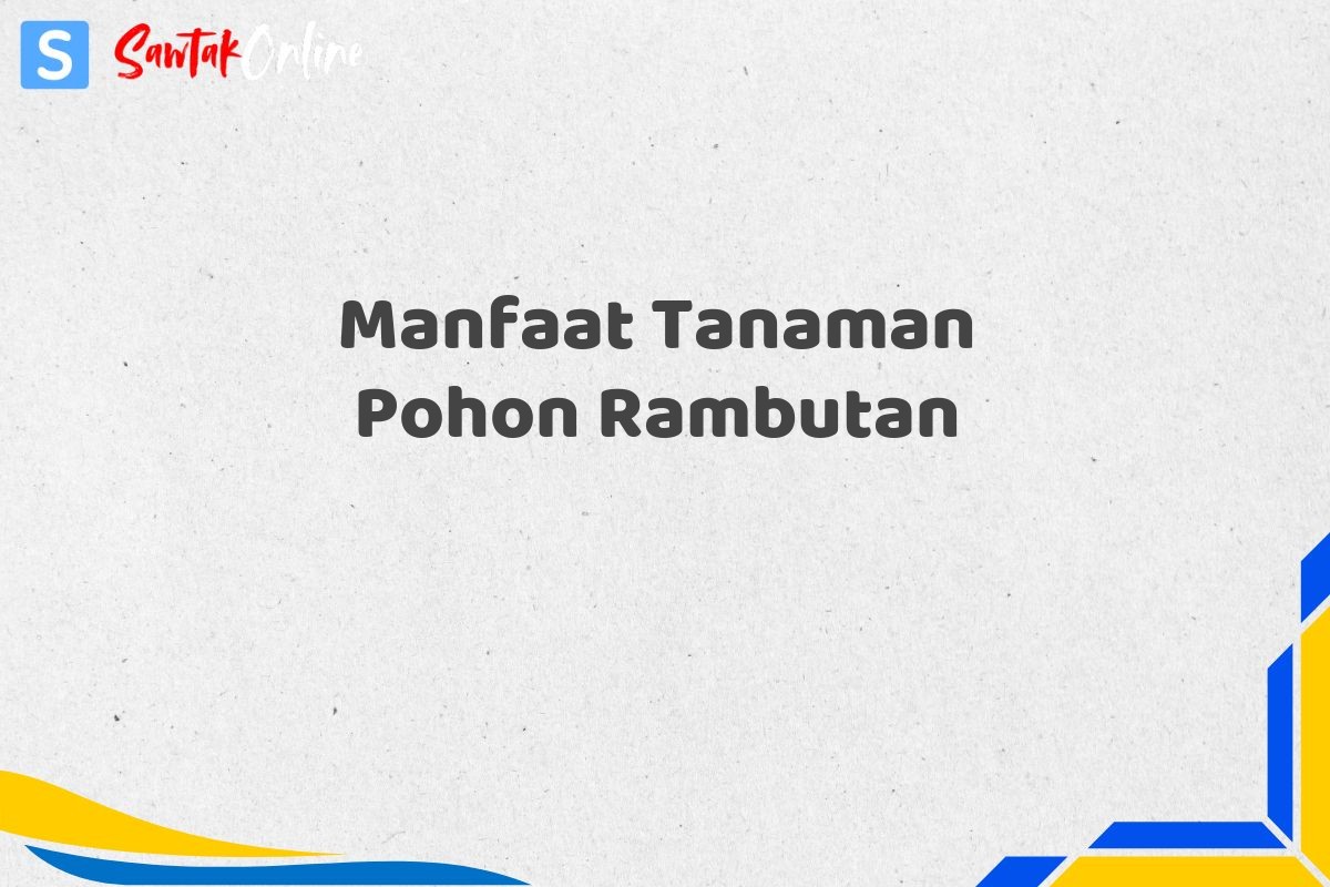 Manfaat Tanaman Pohon Rambutan